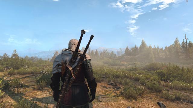 True To Life Rework for The Witcher 3