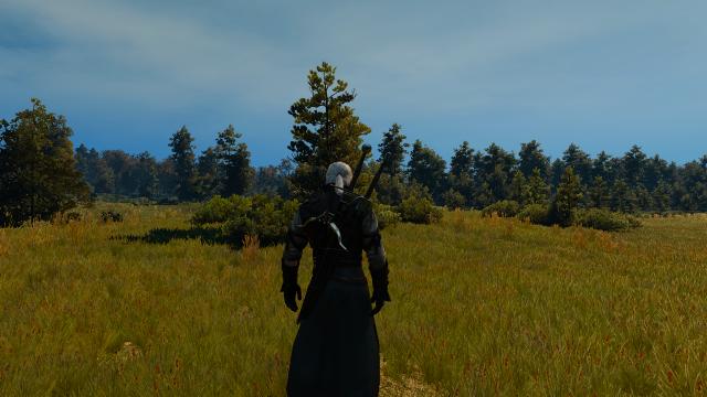 Nehaleni Clear Weather for The Witcher 3