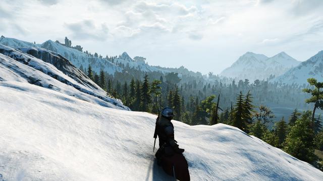Steel is all you need for The Witcher 3