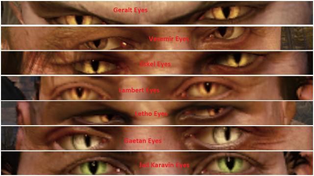 Unique Eyes for ALL Witchers (EXCEPT GERALT)