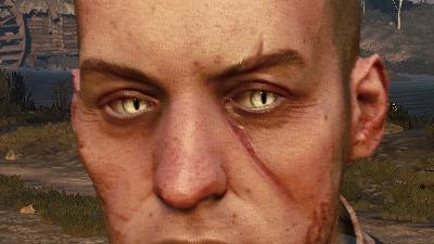 Уникальные глаза для всех ведьмаков / Unique Eyes for ALL Witchers (EXCEPT GERALT) для The Witcher 3