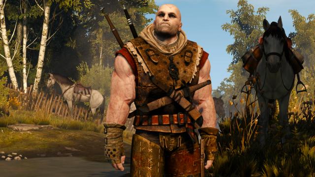 Lore Friendly Witchers for The Witcher 3