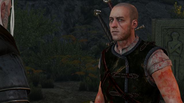 Lore Friendly Witchers for The Witcher 3