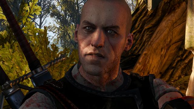 Lore Friendly Witchers for The Witcher 3