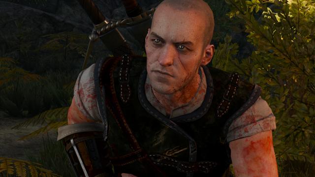 Lore Friendly Witchers for The Witcher 3