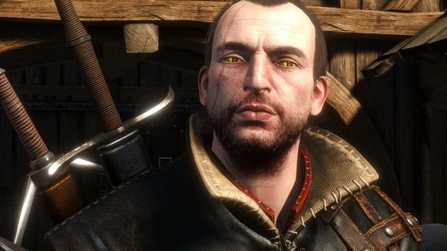 Лорный вид ведьмаков / Lore Friendly Witchers