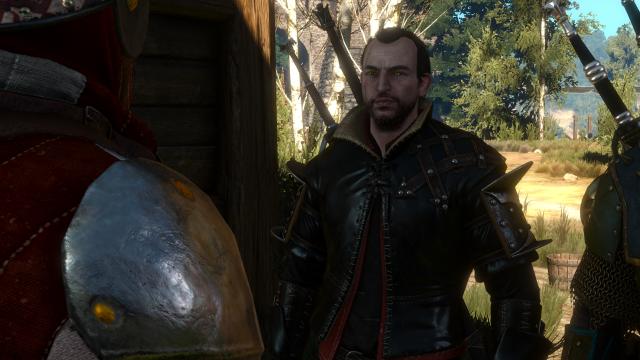 Lore Friendly Witchers for The Witcher 3