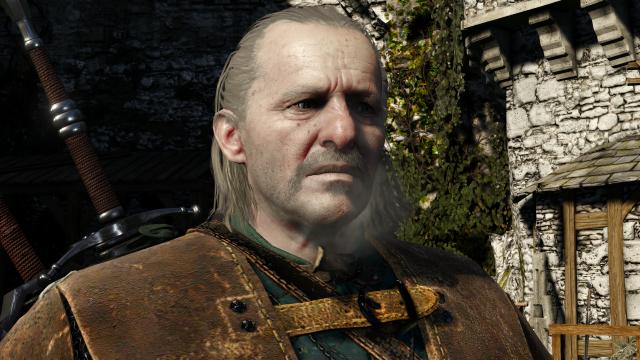 Lore Friendly Witchers for The Witcher 3