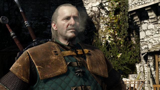 Lore Friendly Witchers for The Witcher 3