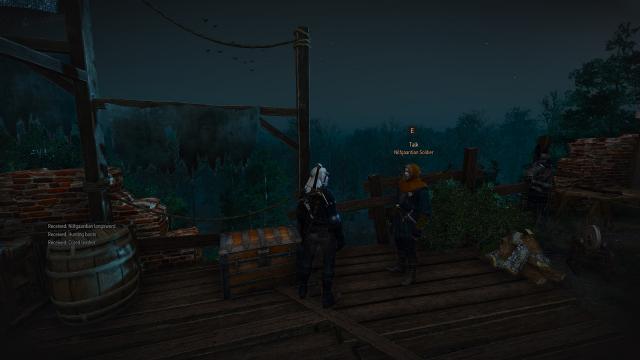 Steal Everything for The Witcher 3