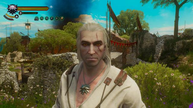 Remove Intoxication Effect for The Witcher 3
