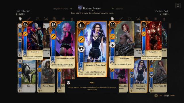 2077  Cyberpunk Gwent Cards Collection