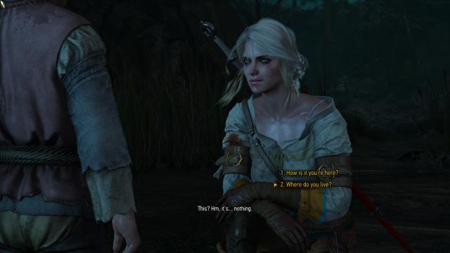 Ciri redone for The Witcher 3