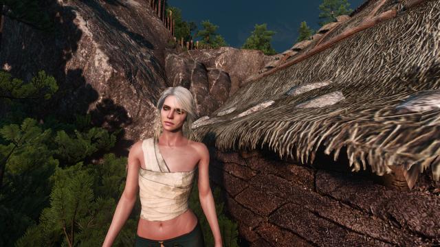 Ciri redone for The Witcher 3