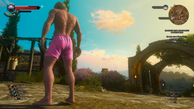 Geralt's Pink Undies for The Witcher 3