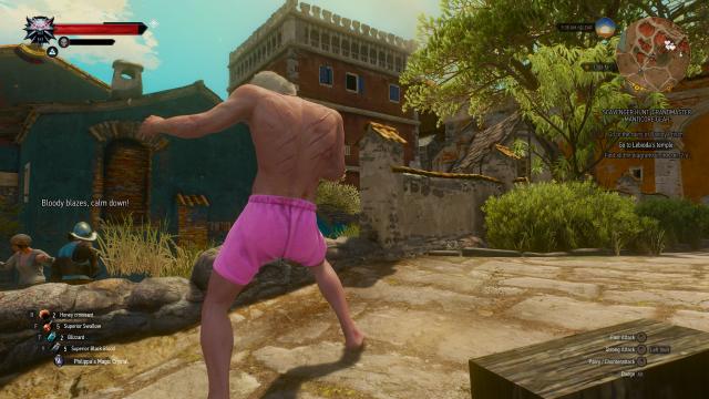 Geralt's Pink Undies for The Witcher 3