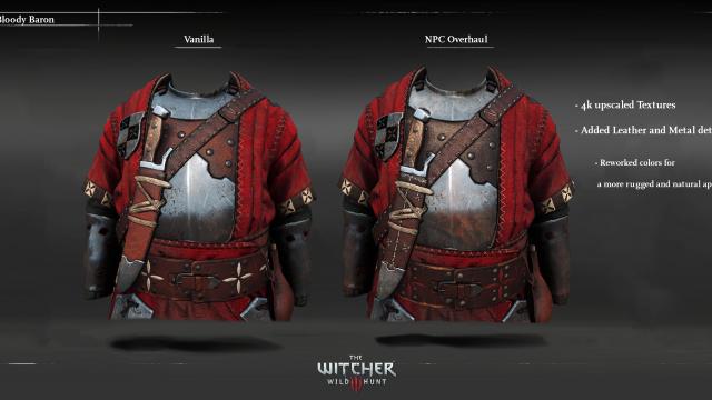 NPC Overhaul (Characters Redone) for The Witcher 3