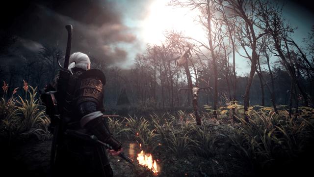 HD Realism Experience для The Witcher 3