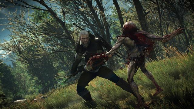 Always Dismember for The Witcher 3