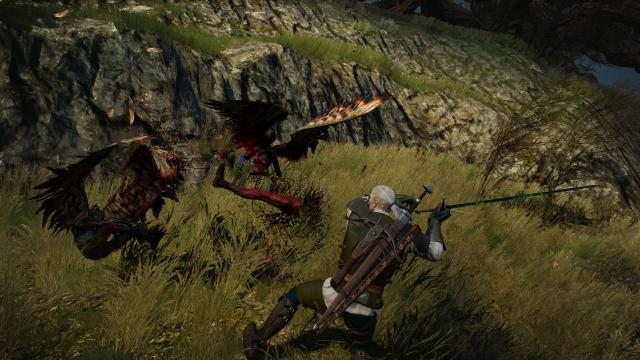 Always Dismember for The Witcher 3