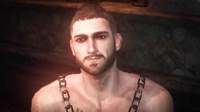 Beard for Vernon Roche for The Witcher 3