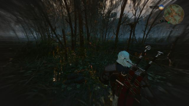 3 2014  E3 2014 Camera Mod for The Witcher 3