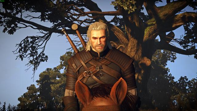 Bubsy’s 2014 Geralt - Реплейсер Геральта