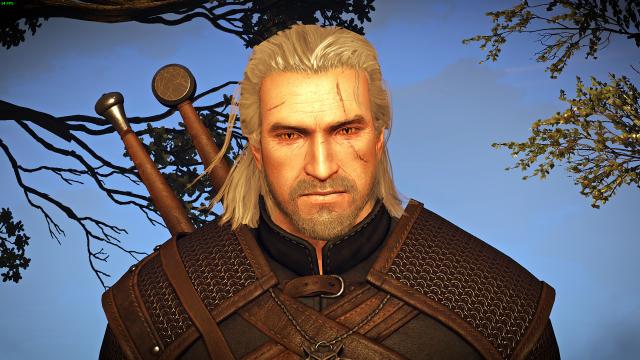 Bubsy’s 2014 Geralt - for The Witcher 3