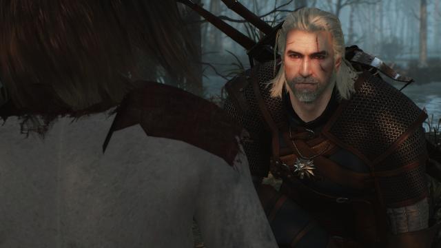 Bubsy’s 2014 Geralt - for The Witcher 3