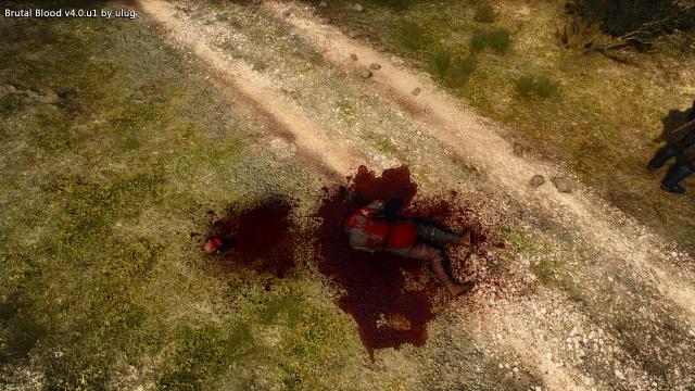 Brutal Blood for The Witcher 3