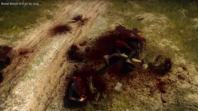 Brutal Blood for The Witcher 3