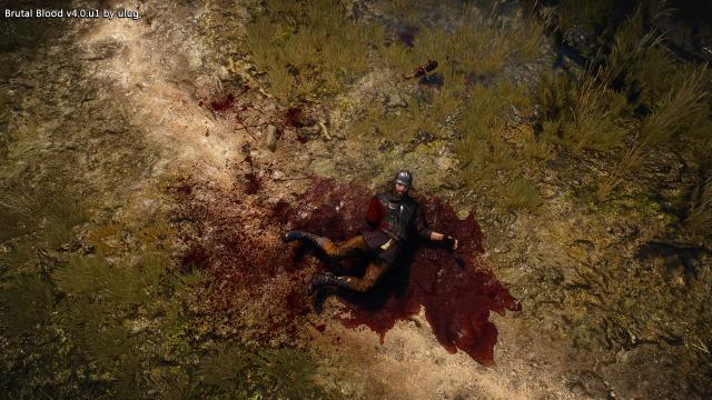 Brutal Blood for The Witcher 3