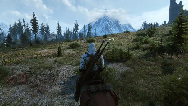 Beautiful Grass Mod for The Witcher 3