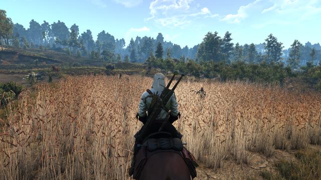 Beautiful Grass Mod for The Witcher 3