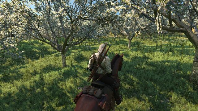 Beautiful Grass Mod for The Witcher 3