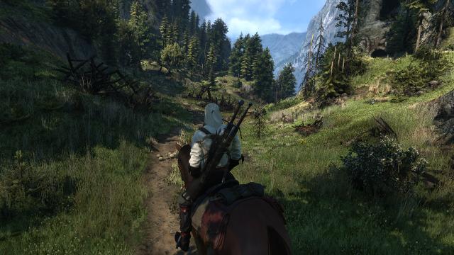 Beautiful Grass Mod for The Witcher 3