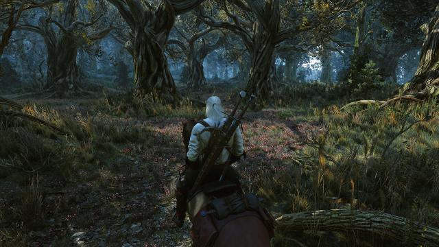 Beautiful Grass Mod for The Witcher 3