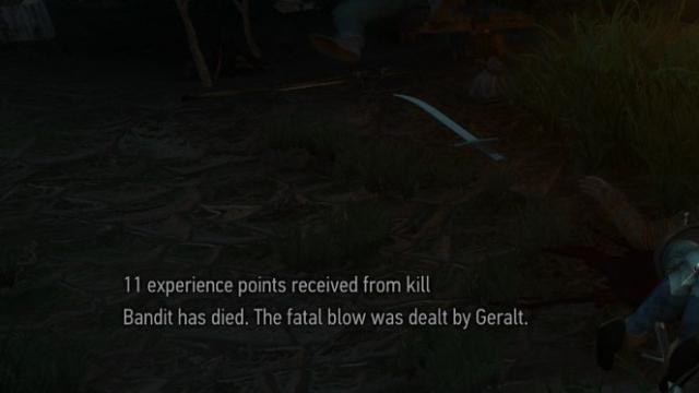 Show Kill XP for The Witcher 3