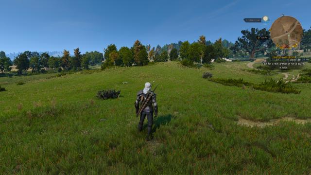 Darker Generic Trees and Bushes for The Witcher 3