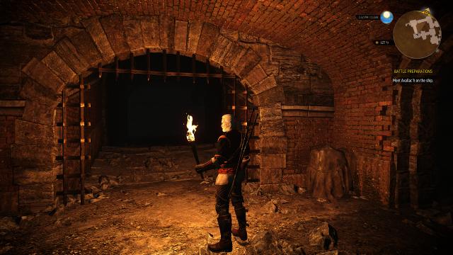 Realistic Torches - Craftable and Expiring for The Witcher 3