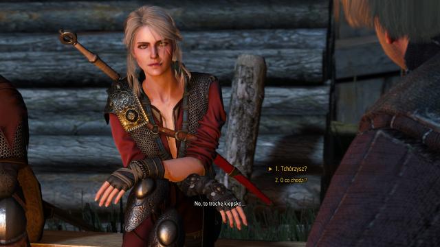 Lore Friendly Ciri for The Witcher 3