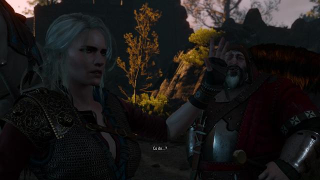 Lore Friendly Ciri for The Witcher 3