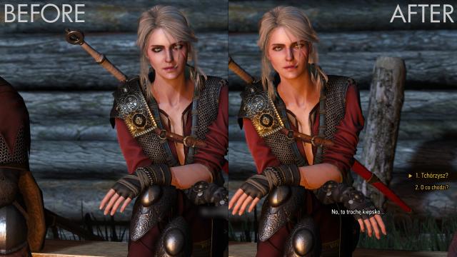 Lore Friendly Ciri for The Witcher 3