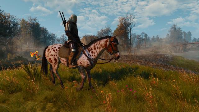 Majestic Mounts for The Witcher 3 Next Gen