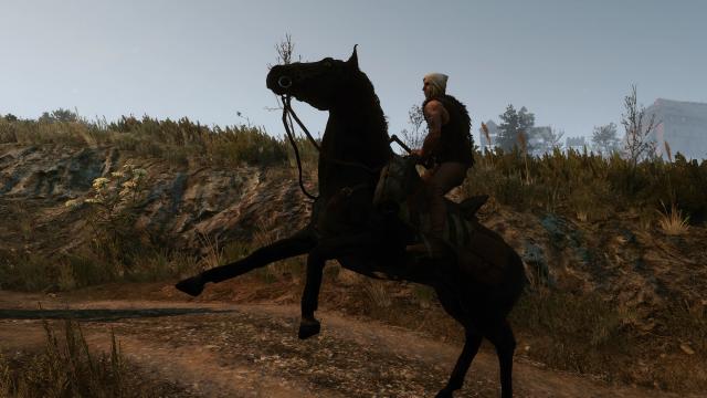 Majestic Mounts for The Witcher 3 Next Gen