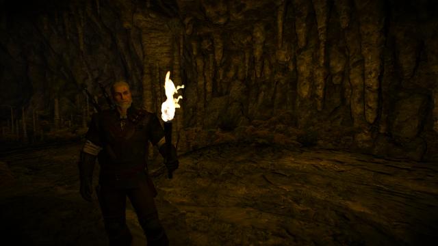 Natural Torchlight (NEXT GEN) для The Witcher 3 Next Gen