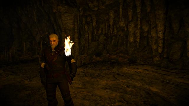 Natural Torchlight (NEXT GEN) для The Witcher 3 Next Gen