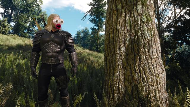 UHD Oaks Redux для The Witcher 3 Next Gen