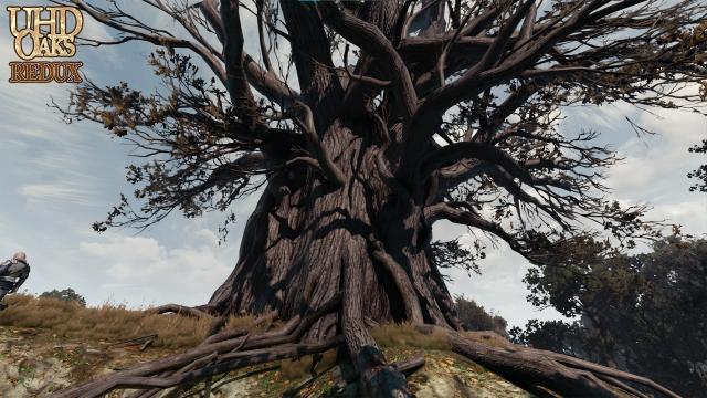 UHD Oaks Redux for The Witcher 3 Next Gen