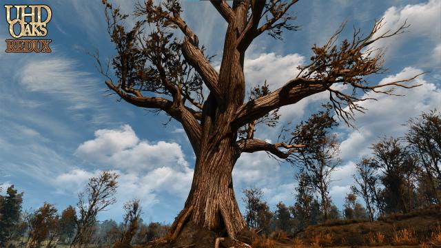 UHD Oaks Redux for The Witcher 3 Next Gen